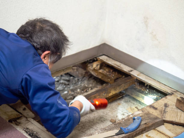 Crawl Space Mold Removal in Morristown, TN