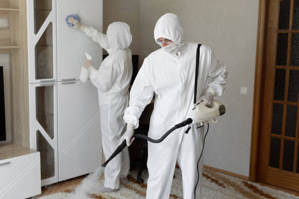 Best Professional Mold Removal  in Morristown, TN