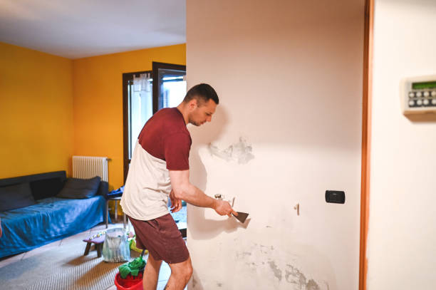 Best Black Mold Removal  in Morristown, TN